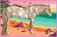 Horse Color:White Spotted Liver Chestnut Pearl 