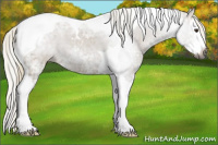 Horse Color:Gray Chestnut Ice Sabino Splash Tobiano Appaloosa 