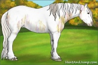 Horse Color:Silver Bay Ice Dun Splash Tobiano 