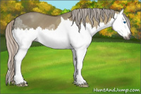 Horse Color:Gray Silver Bay Ice Dun Splash