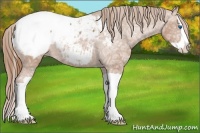 Horse Color:Chestnut Ice Splash Snowcap 