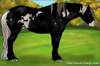 Horse Color:White Spotted Bay Splash Tobiano Blanket 