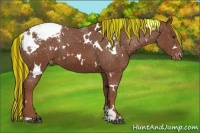 Horse Color:Painted White Spotted Chestnut Appaloosa