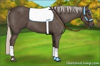 Horse Color:Silver Black Frame