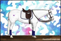 Horse Color:Nacre Cremello Dun Sabino