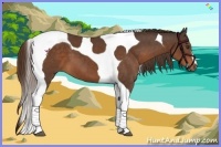 Horse Color:Liver Chestnut Tobiano