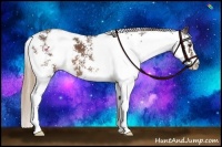 Horse Color:Liver Chestnut Sabino