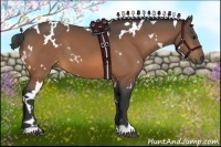 Horse Color:White Spotted Buckskin 