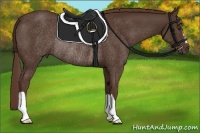 Horse Color:Liver Chestnut Rabicano 
