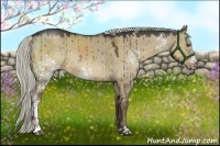 Horse Color:White Spotted Liver Red Dun Sabino Rabicano