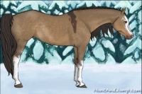 Horse Color:White Spotted Liver Red Dun Rabicano 