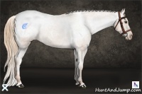 Horse Color:Red Roan Snowcap 