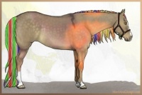 Horse Color:Painted Chocolate Palomino Dun Sabino Rabicano 