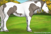 Horse Color:Silver Black Splash Tobiano