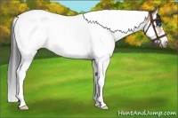 Horse Color:Brown Roan Dun Splash Tobiano Frame 