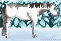 Horse Color:Liver Red Roan Splash Frame