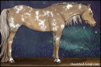 Horse Color:White Spotted Chocolate Palomino