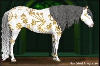 Horse Color:Black Splash Appaloosa