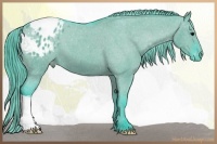 Horse Color:Watercolor Grullo Appaloosa 