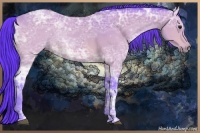 Horse Color:Watercolor Bay Ice 