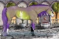 Horse Color:Watercolor Bay Sabino 