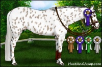 Horse Color:Chocolate Palomino Roan Leopard