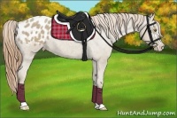 Horse Color:Classic Cream Champagne Sabino Blanket 