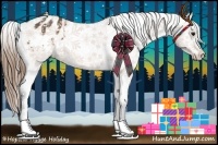 Horse Color:Buckskin Appaloosa 