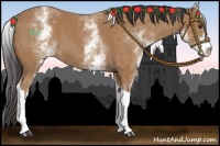 Horse Color:White Spotted Buckskin Tobiano 