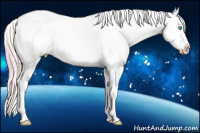 Horse Color:Plaid  Perlino Dun Splash Appaloosa 