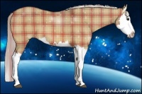 Horse Color:Plaid Silver Bay Dun Splash