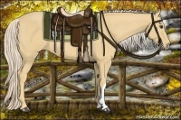 Horse Color:Palomino 