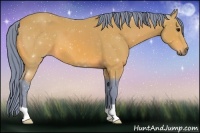 Horse Color:Watercolor Bay 