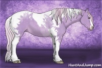 Horse Color:Watercolor Chocolate Palomino Dun Sabino Tobiano 