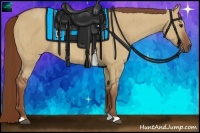 Horse Color:Red Dun Rabicano Brindle 