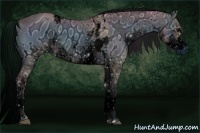 Horse Color:ERROR: UNKNOWN ANOMALY and ERROR: UNKNOWN ANOMALY