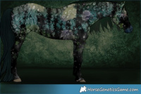 Horse Color:ERROR: UNKNOWN ANOMALY and ERROR: UNKNOWN ANOMALY