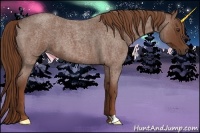 Horse Color:Red Roan 