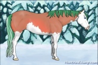 Horse Color:Watercolor Bay Splash