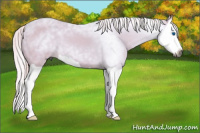 Horse Color:Gray Watercolor Chestnut Splash 