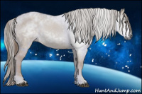 Horse Color:Gray Red Dun 