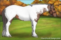 Horse Color:Bay Tobiano Near Fewspot 