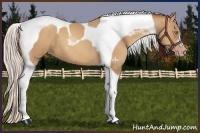 Horse Color:Silver Sable Champagne Tobiano 