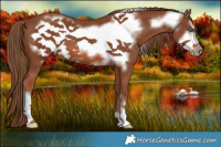 Horse Color:Chestnut Frame 