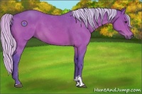 Horse Color:Watercolor Silver Bay Sabino