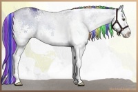 Horse Color:Painted Watercolor White Spotted Liver Red Dun Sabino 