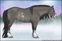 Horse Color:Grullo Sabino Rabicano