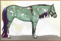 Horse Color:Painted Plaid  White Spotted Liver Red Dun Rabicano 