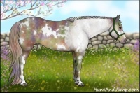 Horse Color:Nacre White Spotted Chocolate Palomino Sabino Rabicano