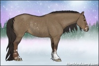Horse Color:Liver Red Dun Sabino Rabicano 